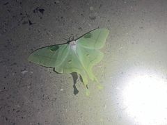 -鬼笑石后山停车场