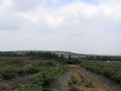 -南京枫彩漫城