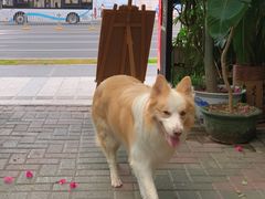 -豆舞咖啡(民乐路店)