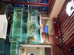 -光辉公鸡馆(事业小区店)