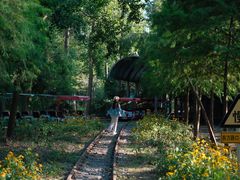 -合肥滨湖国家森林公园