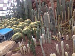 -亿利库布其七星湖沙漠生态旅游区