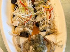 -博雅渔港·融合菜(维也纳国际大酒店)