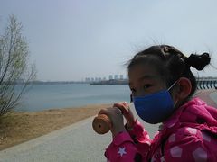 -丁香湖公园