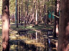 -南京金牛湖风景区