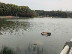-美兰湖景区