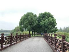 -南湖湿地公园