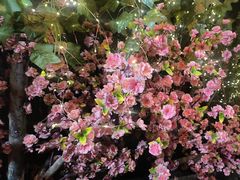 -鹅滋道(甘坑古镇店)