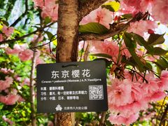 -八大处公园