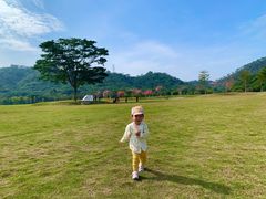 -风云岭森林公园