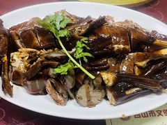 -金麒麟美食城