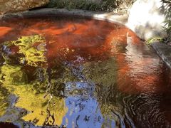 -七彩云南古滇温泉山庄