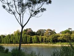 -华南国家植物园-售票处