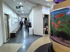-慈铭体检(洋桥分院)