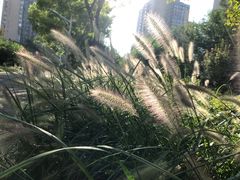 -丰台花园