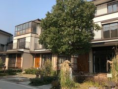 -田园东方蜜桃村的田野营地