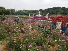 -松山湖梦幻百花洲
