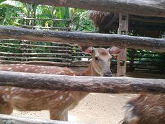 -三亚千古情景区游客中心-接待中心