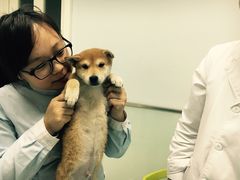 -纳吉亚猫专科动物医院博雅分院