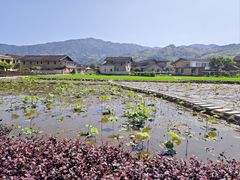 -福建土楼（南靖）云水谣景区-和贵楼