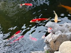 -鲤院·新中式美学·庭院餐厅(夫子庙店)