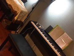 -歌斐木钢琴工作室