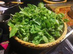 -王家渡火锅(三苏祠店)