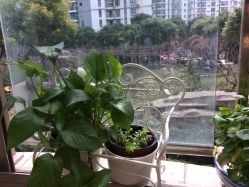 -Union瑜伽健康管理中心