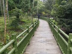 -大蜀山国家森林公园