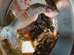 -铁锅炖活鱼