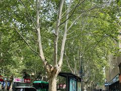 -惠丰源烩面馆(经七路店)