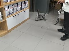 -瑞派宠物医院·24h·骨外科·皮肤科·全科宠物医疗转诊中心(沈阳浑南院)