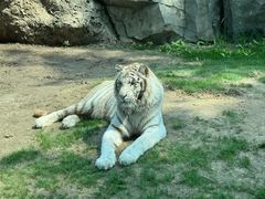 -北京野生动物园