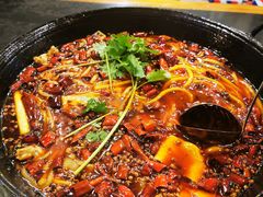 -鸿顺老铁锅美蛙鱼府(解放碑店)