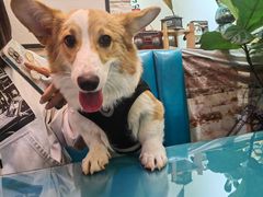 -My Way Town买味堂·东南亚餐厅(亦庄店)