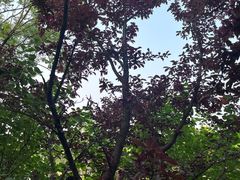 -如皋市龙游湖欢乐世界