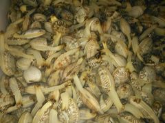 -宾朋海鲜特色美食餐厅·纯手工鲅鱼水饺(兴海路店)