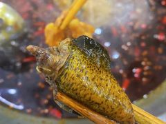 -储奇门鳝鱼火锅(总店)