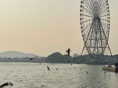 -蠡湖大桥公园