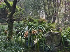 -成都杜甫草堂博物馆