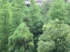 -裸心谷·裸心味餐厅
