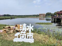 -荷塘月色湿地公园·向阳花洲