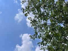 -田心森林公园