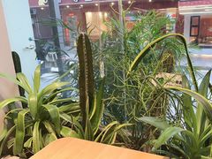 -隅乐胡椒虾·台湾菜·团建(皇岗店)