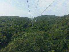 -普陀山风景区-佛顶山