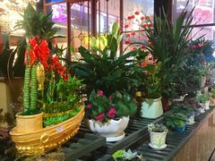 -鹅城