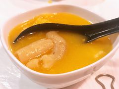 -鲜入围煮花胶鸡海鲜火锅