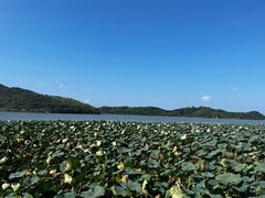 -东钱湖旅游度假区