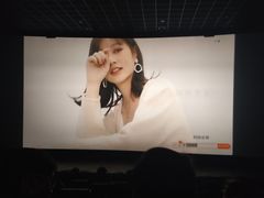 -汉阳天河电影城(王家湾店)