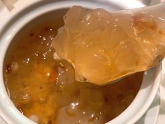 -蝶园·装修中(BFC外滩金融中心店)